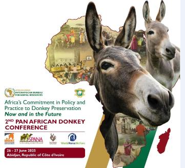 conférences dez ânes